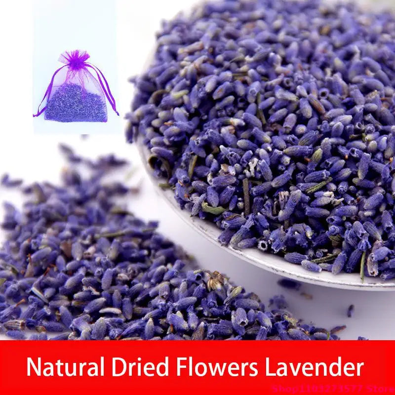 Fleurs de Lavande Séchées — Sommeil paisible & détente naturelle