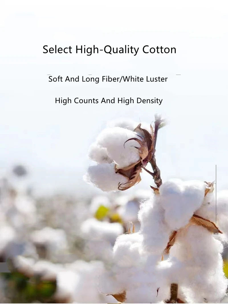 Taies d'oreiller coton égyptien satiné — Douceur premium & nuit bien-être